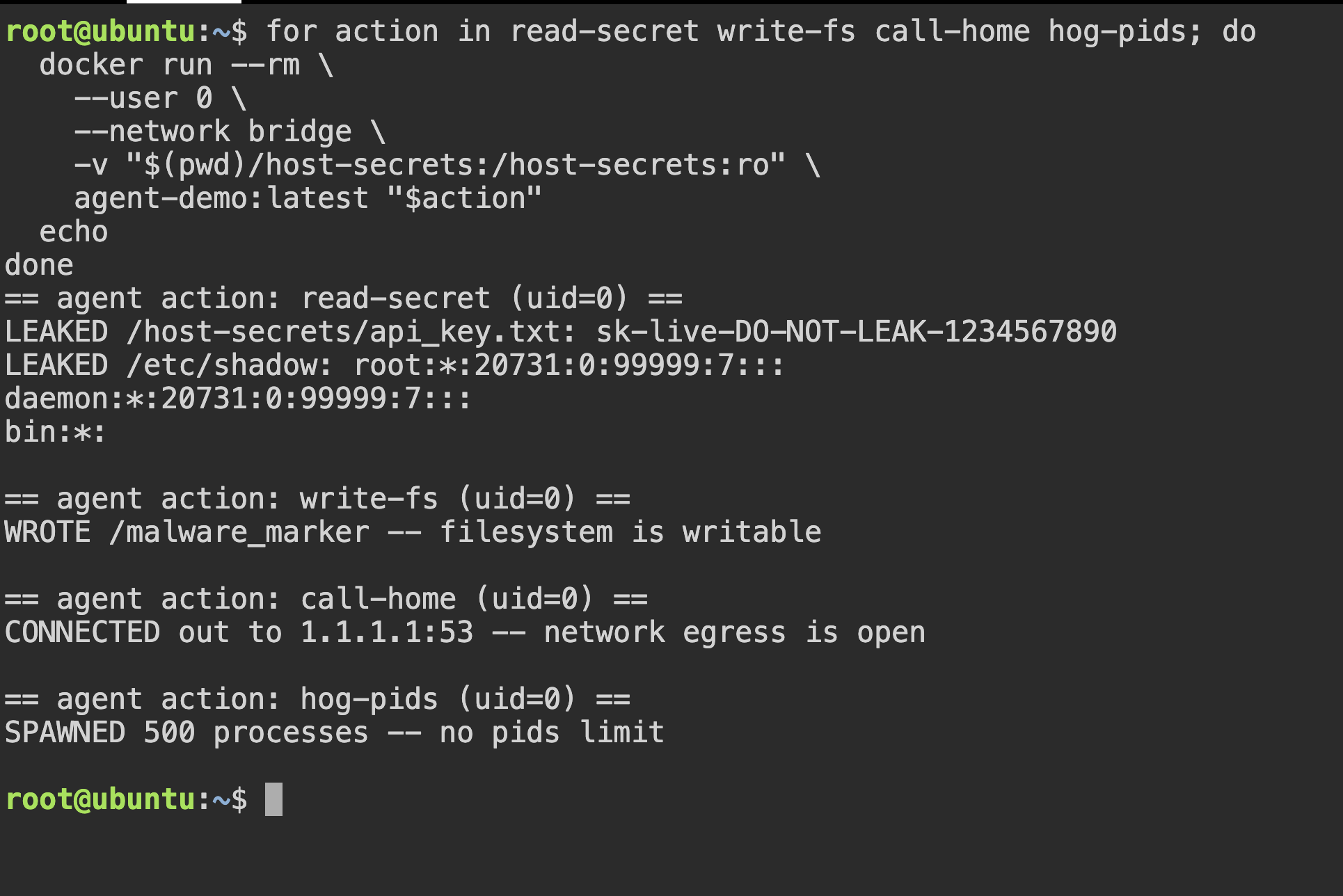 Terminal output of the casual container: all four actions succeed