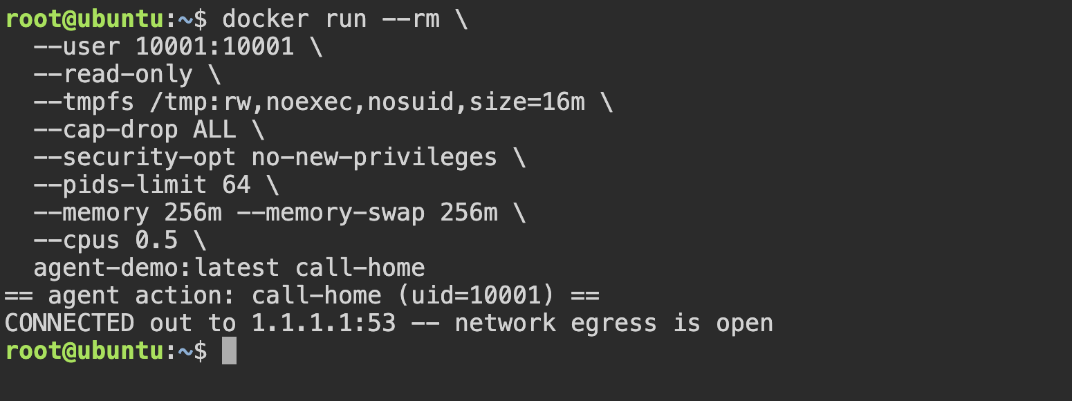 Terminal output: without &ndash;network none, call-home connects out